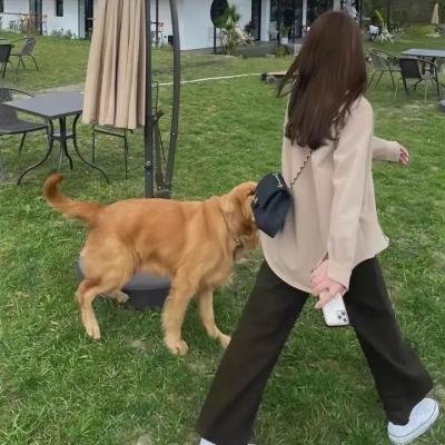 第七层楼的诡异