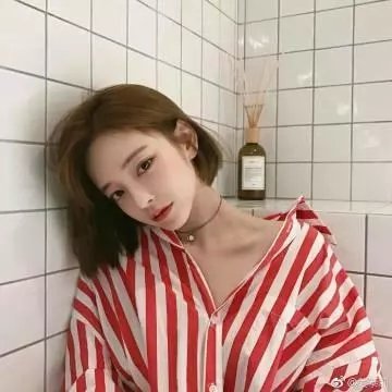 间谍兔洞第一季